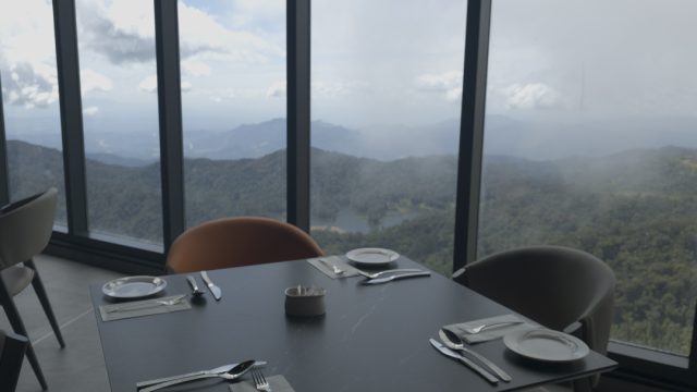 Ambrosia-5